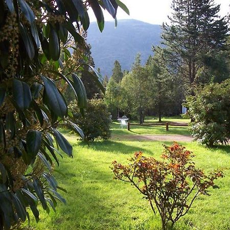 Cabanas Auquin Lemu Lago Puelo Exterior foto